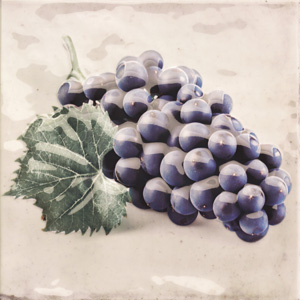 Decor CAMPESTRE-3 (виноград) (20х20)