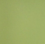 Kiwi 4.8х4.8 см, глянцевый