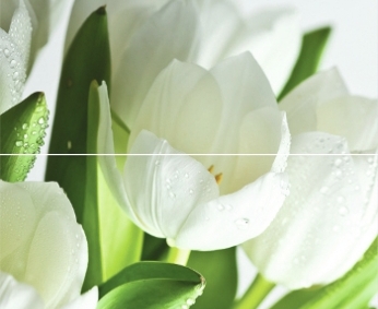 Панно Digital Tulipany Размер: 50*60